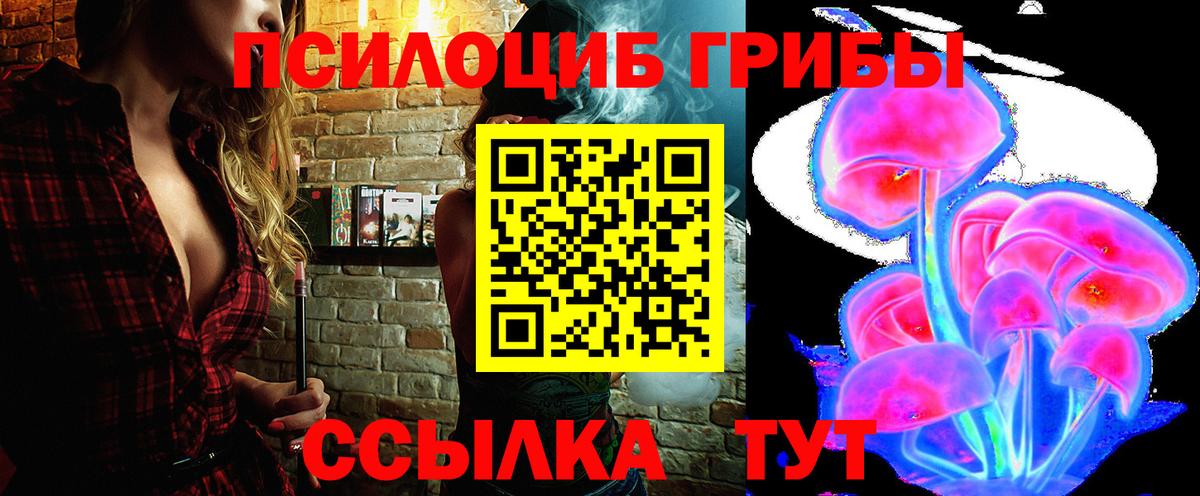 Галлюциногенные грибы Cubensis Губкинский