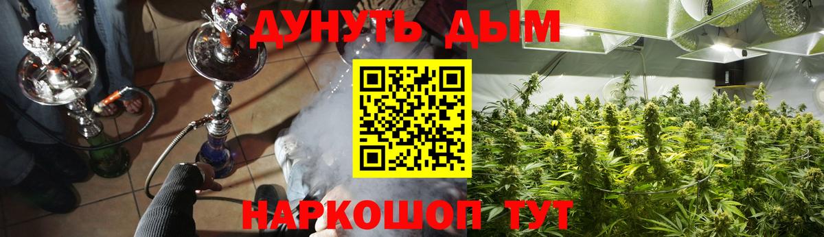 Конопля конопля Губкинский